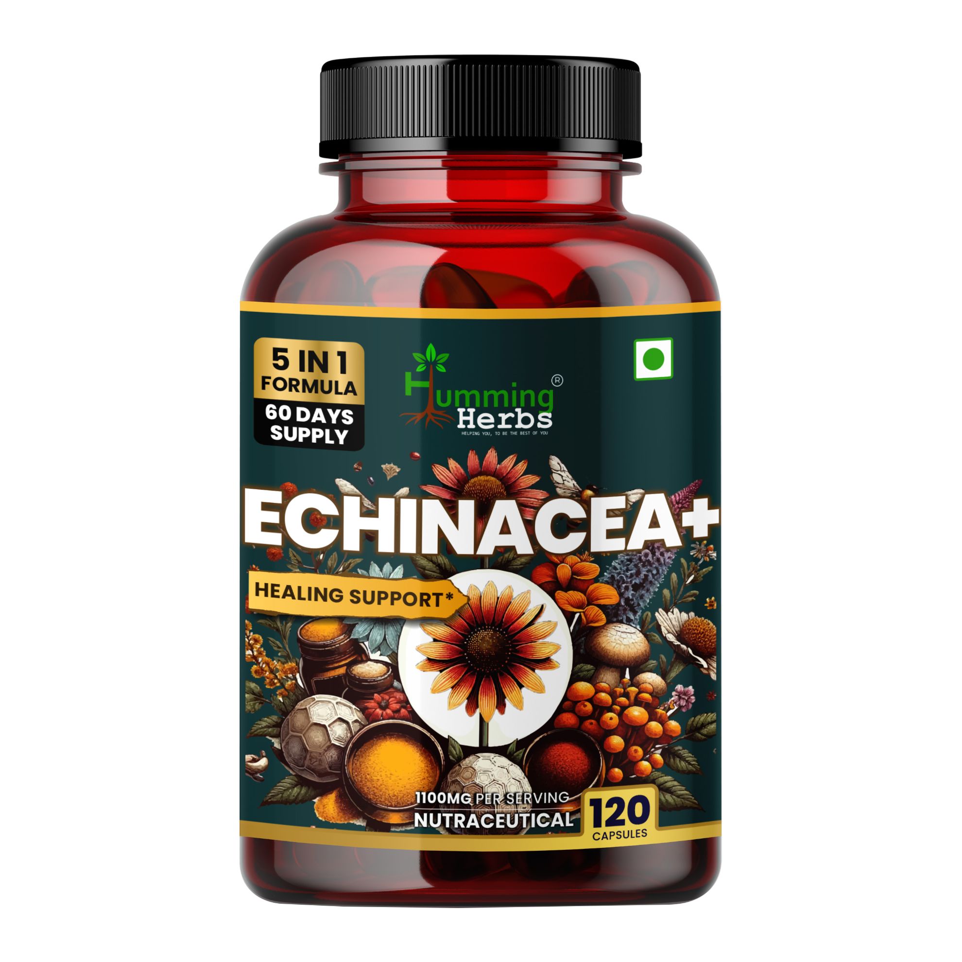 Picture of Echinacea Plus Capsules | 5-in-1 Immunity Support Formula with Tulsi, Quercetin, Vitamin C & Zinc | 120 Capsules for 60 Days Supply