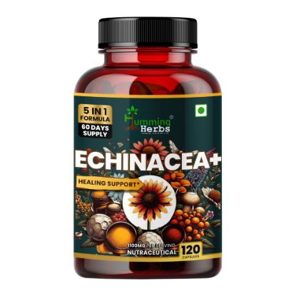 Picture of Echinacea Plus Capsules | 5-in-1 Immunity Support Formula with Tulsi, Quercetin, Vitamin C & Zinc | 120 Capsules for 60 Days Supply