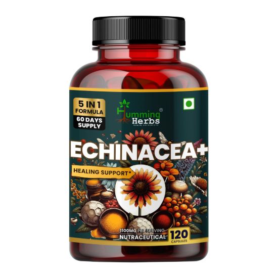 Picture of Echinacea Plus Capsules | 5-in-1 Immunity Support Formula with Tulsi, Quercetin, Vitamin C & Zinc | 120 Capsules for 60 Days Supply