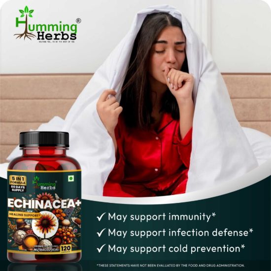 Picture of Echinacea Plus Capsules | 5-in-1 Immunity Support Formula with Tulsi, Quercetin, Vitamin C & Zinc | 120 Capsules for 60 Days Supply