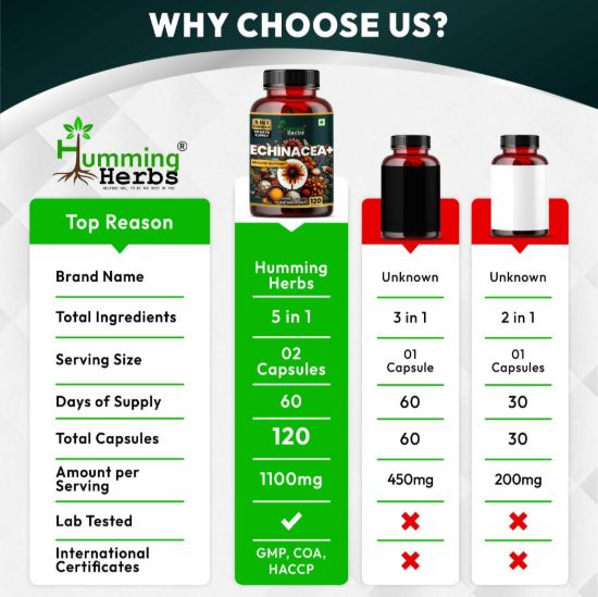 Picture of Echinacea Plus Capsules | 5-in-1 Immunity Support Formula with Tulsi, Quercetin, Vitamin C & Zinc | 120 Capsules for 60 Days Supply
