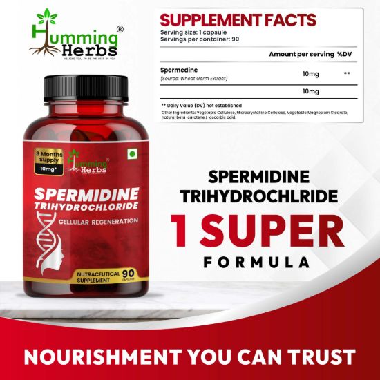Picture of Spermidine Trihydrochloride 10mg Capsules – Cellular Regeneration & Healthy Aging Support – 90 Veg Capsules (3 Months Supply)
